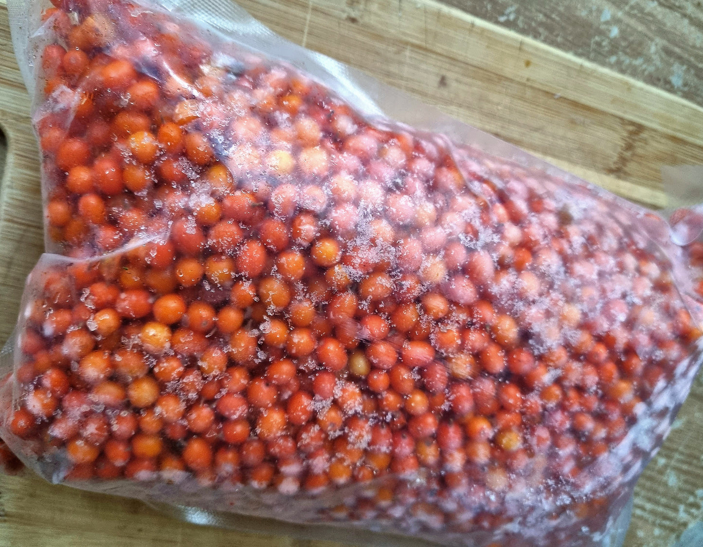 Organic Sea Buckthorn Berries - 1Kg - Frozen