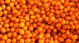 Organic Sea Buckthorn Berries - 1Kg - Frozen